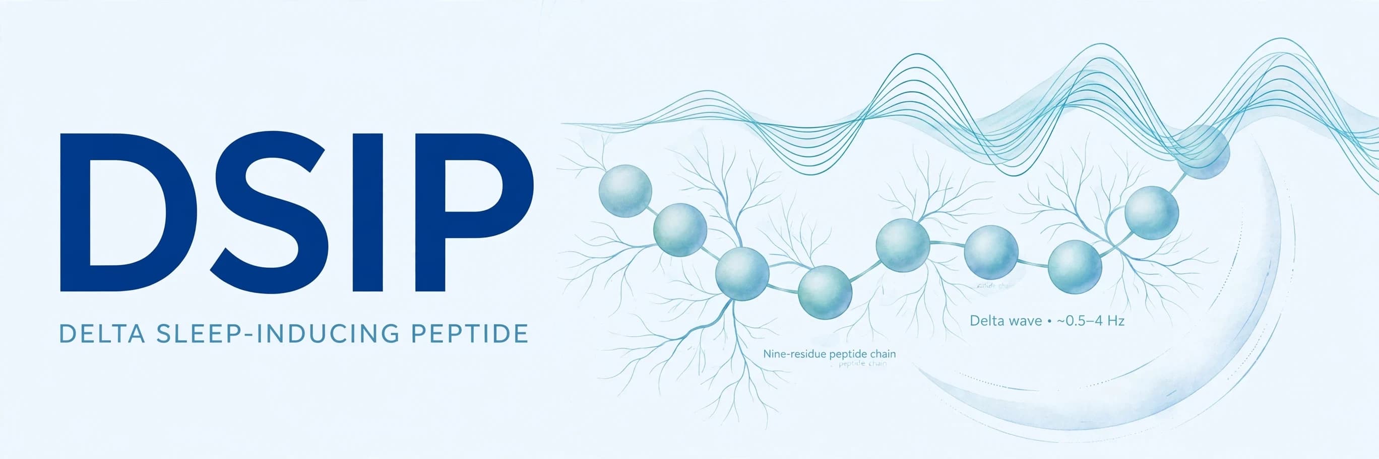 Guía de investigación de DSIP: historia del péptido del sueño y uso en laboratorio