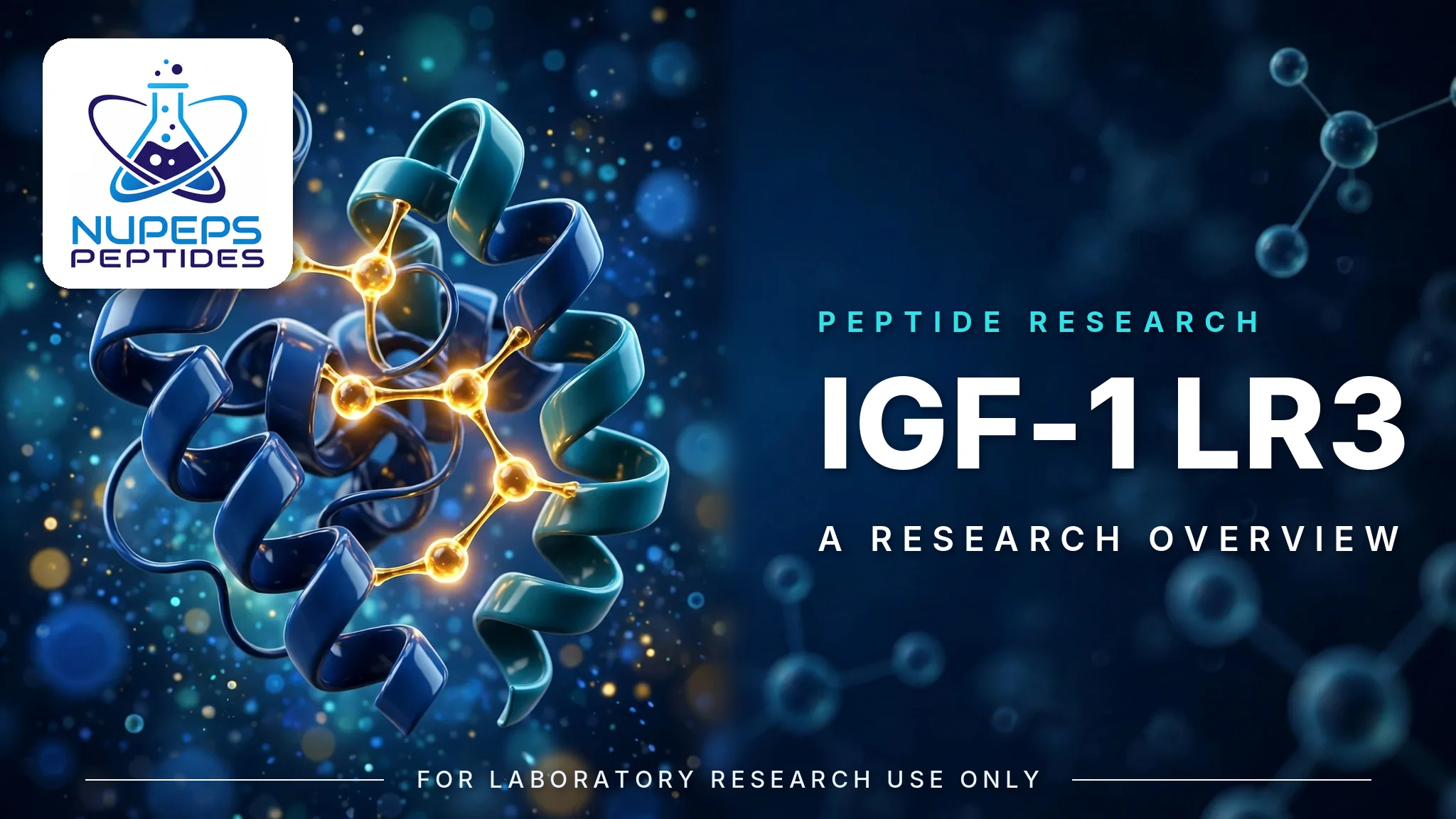 Guida alla ricerca su IGF-1 LR3: scienza dell'analogo
