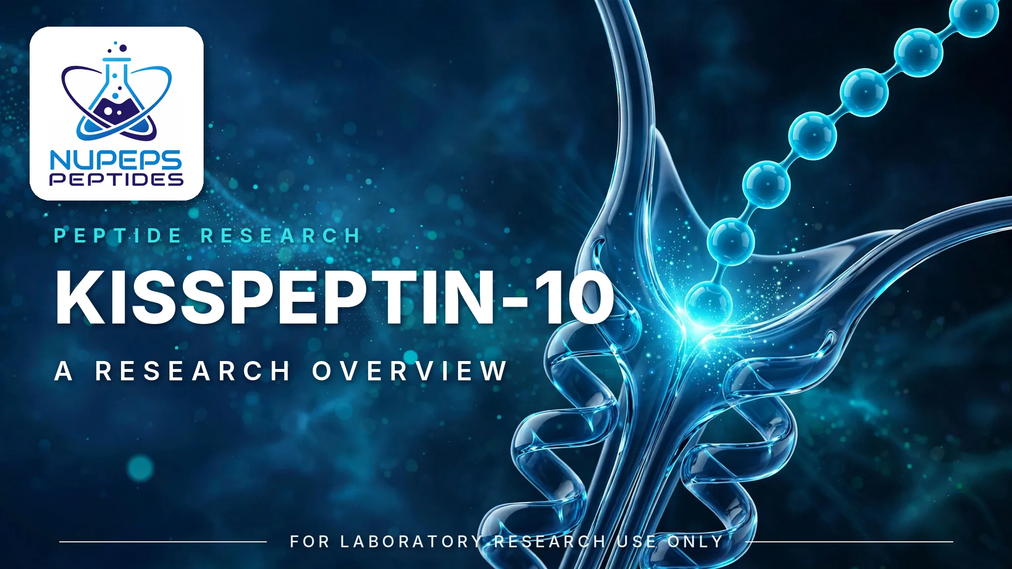 Guida alla ricerca sulla Kisspeptin-10: la scienza di KISS1R