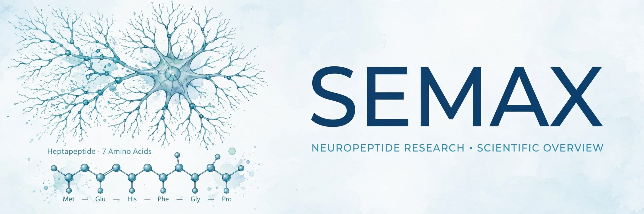 Guía de investigación de Semax: fragmento de ACTH, BDNF y uso en laboratorio