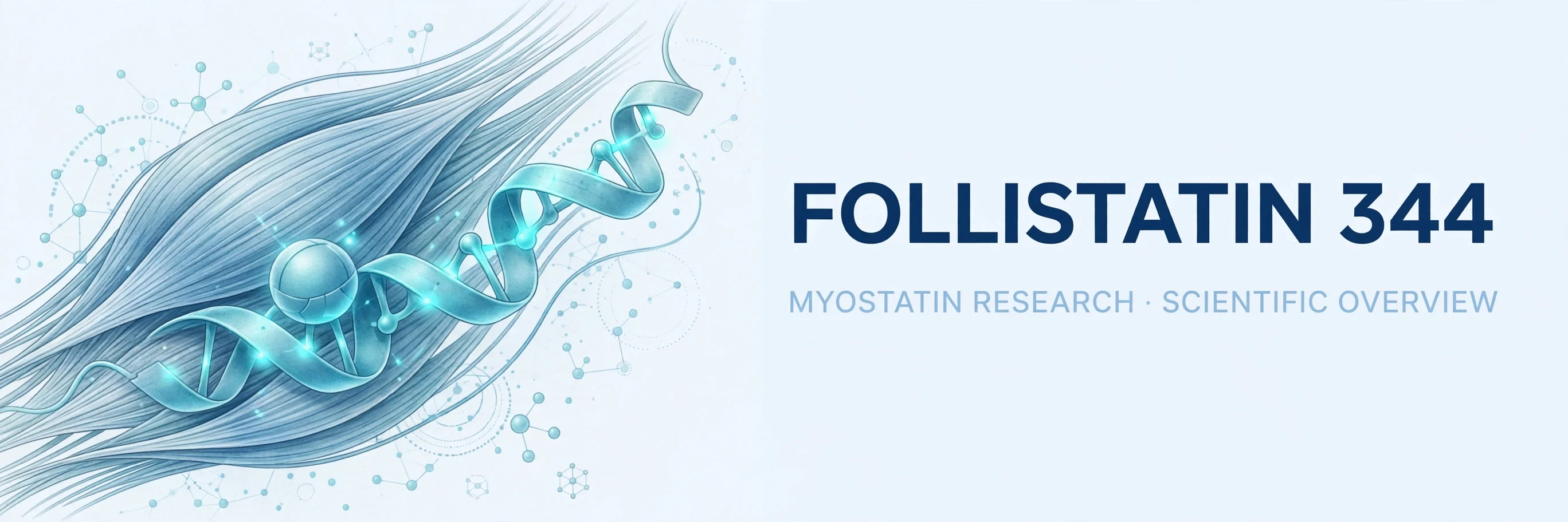 Follistatin 344 Research Guide: Myostatin & Muscle Biology