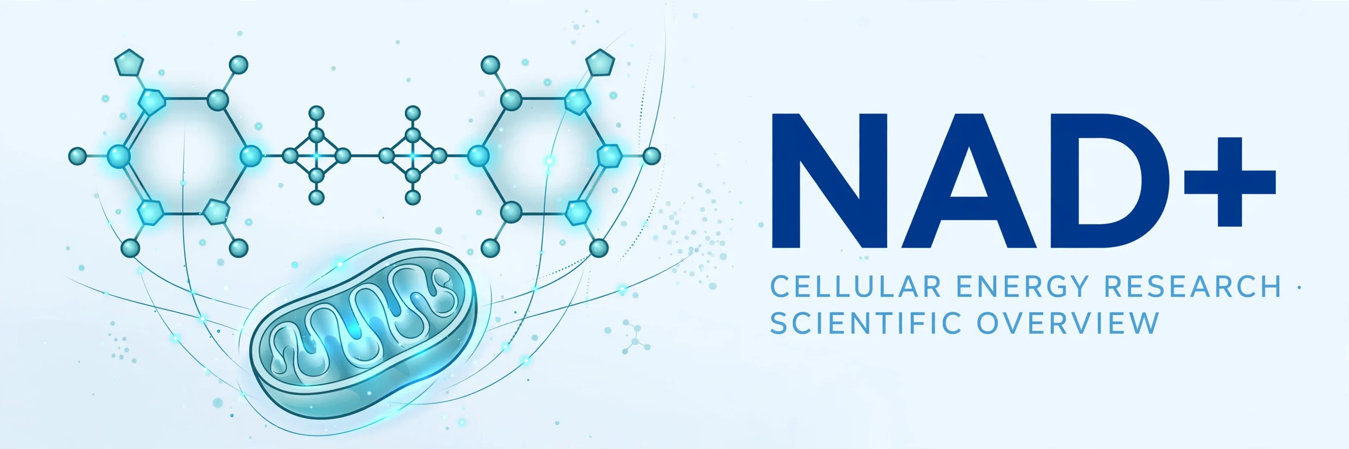 NAD+ Research Guide: Coenzyme at the Center of Energy Studies