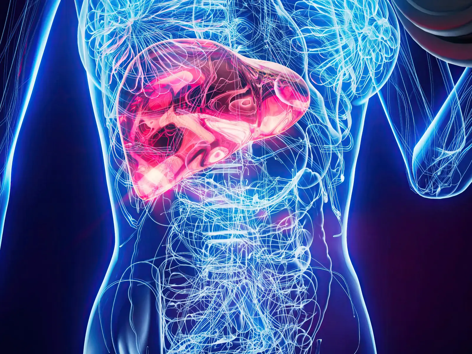 Antioxidation and Liver Health