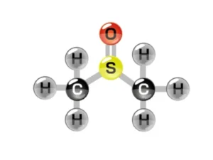 Dimethyl sulfoxide (DMSO) molecular model