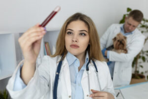 Female veterinarian examining blood sample.